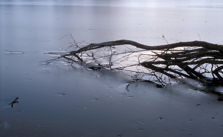 ../Images/15.jpg